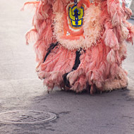 手机号轰炸机网页版